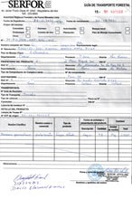 画像をギャラリービューアに読み込む, 【Verdanterre】"PALO SANTO" STICKS 5pcs