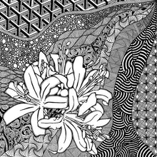 画像をギャラリービューアに読み込む, KALON 1st Anniversary Limited Poster