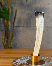 画像をギャラリービューアに読み込む, ※9月5日発送 PALO SANTO HOLDER (Gold)
